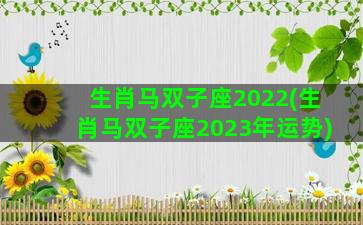 生肖马双子座2022(生肖马双子座2023年运势)